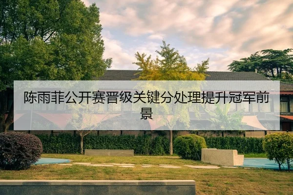 陈雨菲公开赛晋级关键分处理提升冠军前景